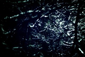 九游娱乐官方-世界杯神级扑救：门将的背后是无尽努力，世界杯守门员扑救集锦