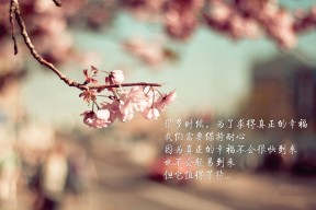 九游官网入口-“美洲狮队打破纪录，力争橄榄球锦标赛冠军”