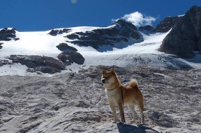 九游娱乐官方-中国足球俱乐部开展高频次战术实战对抗营，中国足球俱乐部开展高频次战术实战对抗营比赛
