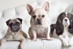 九游网页版入口-拜仁管理层稳定，为球队长远发展铺路，拜仁高管