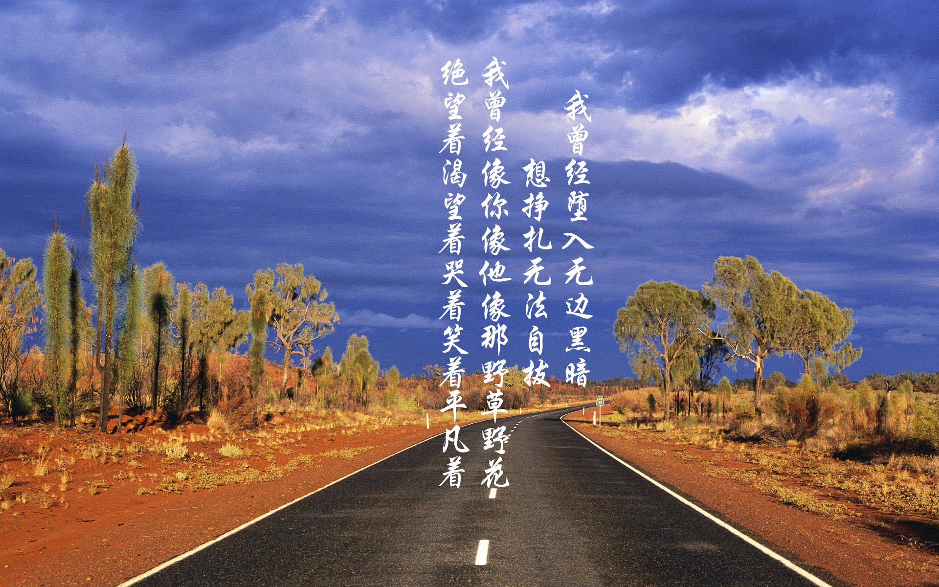 “SHO-CHAN Run 2025：全球跑者来香港一较高下”