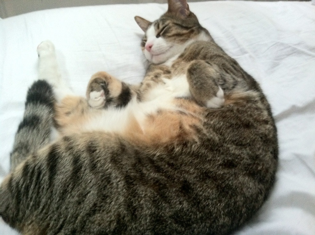 中路密集防守是否阻断技术流球队传控链条，足球中路防守