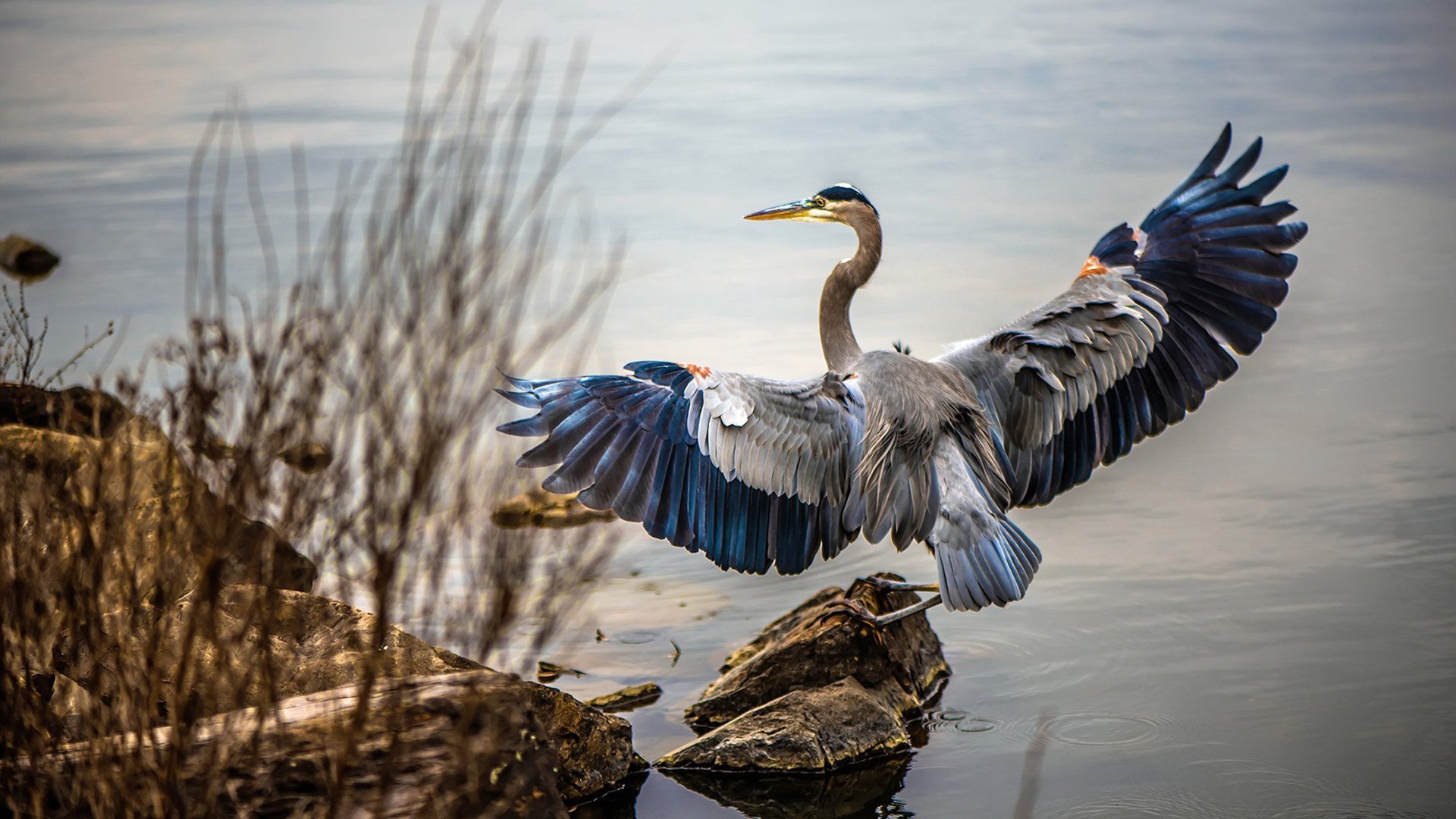 乒乓球队国际赛场表现突出，乒乓球国际团体比赛规则