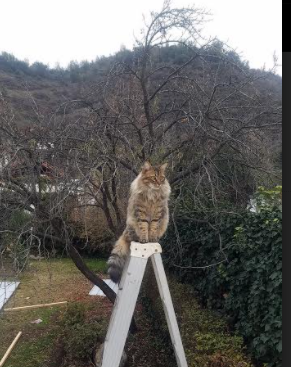 从世界杯预选赛看U23国足 激烈走势凸显希望,世界杯预选赛国足大胜