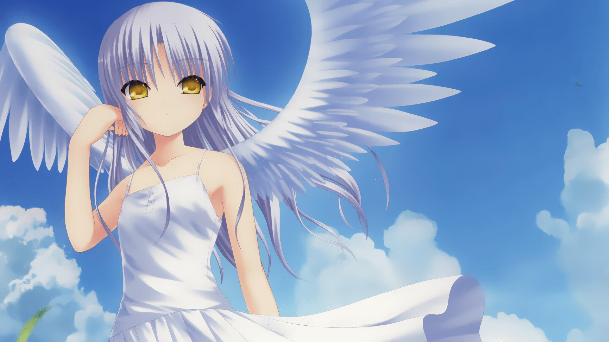 地方篮球俱乐部运营逐步专业化吸引更多关注，篮球俱乐部运营方案及管理