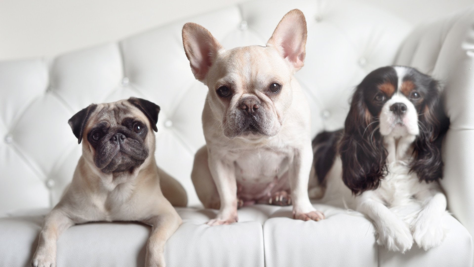 拜仁管理层稳定，为球队长远发展铺路，拜仁高管