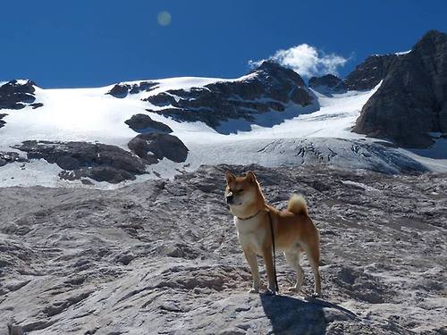 中国足球俱乐部开展高频次战术实战对抗营，中国足球俱乐部开展高频次战术实战对抗营比赛