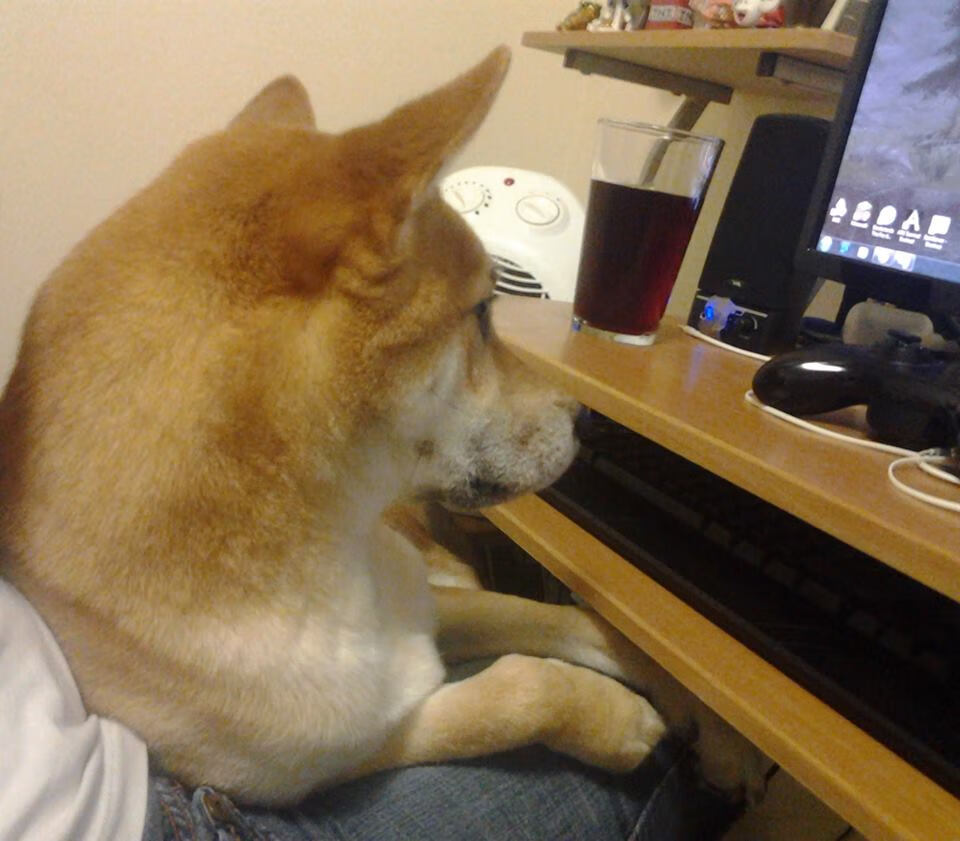 中国队稳步提升成绩赢得掌声，中国队的成绩