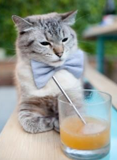 全球青少年足球竞赛火热进行，培养未来国际足球明星，世界青少年足球比赛