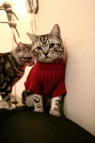 安东·李恩:全黑队的“中场战士”,无缝连接进攻与防守